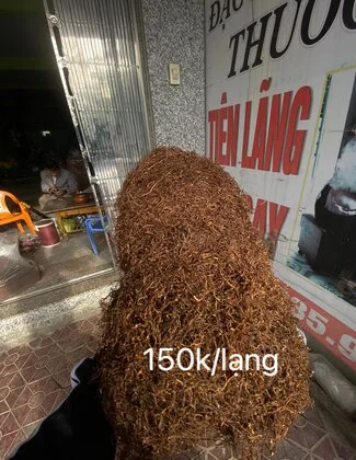 Thuốc lào Tiên Lãng Hồng Con - Kiến Thiết loại VIP